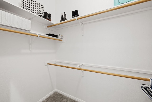 240 Fort Mabry Loop, Georgetown, TX 78628 - walk in closet featuring carpet