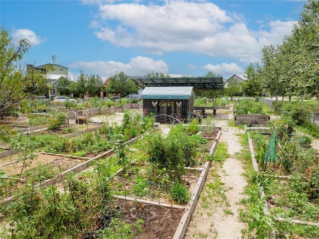 4001 Teaff St, Austin, TX 78723 - view of yard featuring a vegetable garden