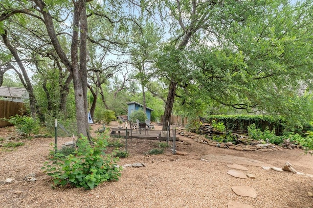 4304 Adelphi Ln, Austin, TX 78727 - view of yard