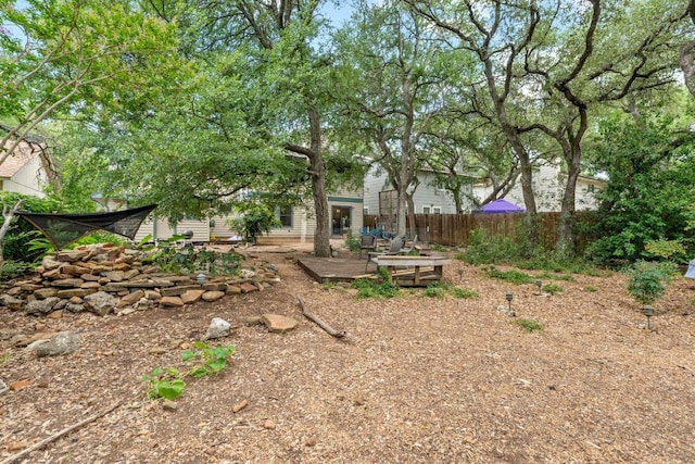 4304 Adelphi Ln, Austin, TX 78727 - view of yard
