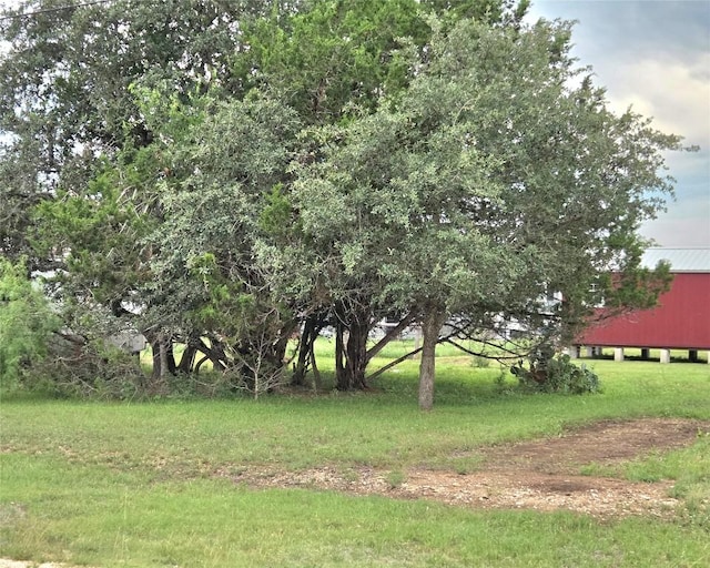 360 Paloma Dr, Bandera, TX 78003 - photo 4