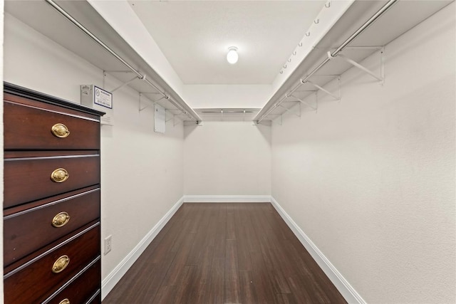 4410 Cisco Valley Dr, Round Rock, TX 78664 - walk in closet with dark wood-style floors