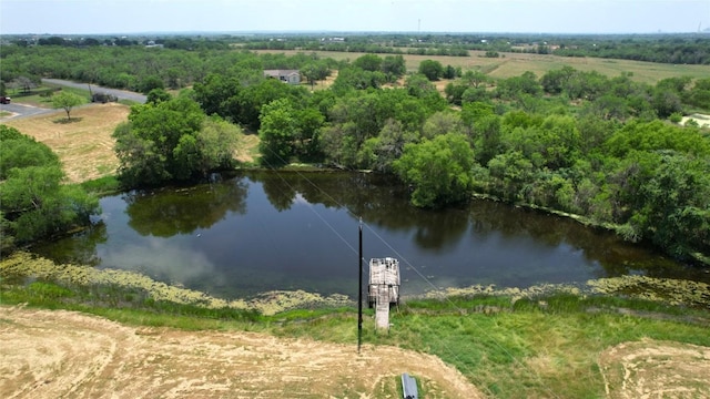 10745 Rosemar Ln, Adkins, TX 78101 - drone / aerial view of a large body of water