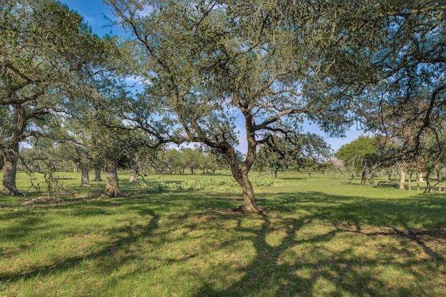 1185 County Road 258, Bertram, TX 78605 - photo 27