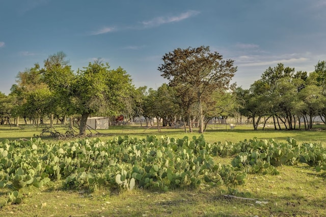 1185 County Road 258, Bertram, TX 78605 - photo 28