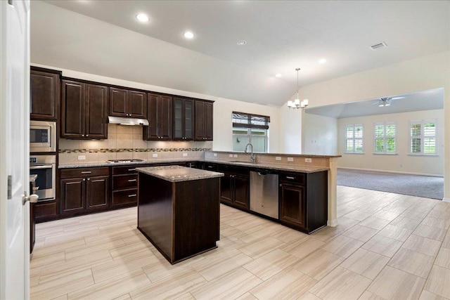 2520 Milan Meadows Dr, Leander, TX 78641 - kitchen featuring stainless steel appliances, under cabinet range hood, a chandelier, a peninsula, and lofted ceiling