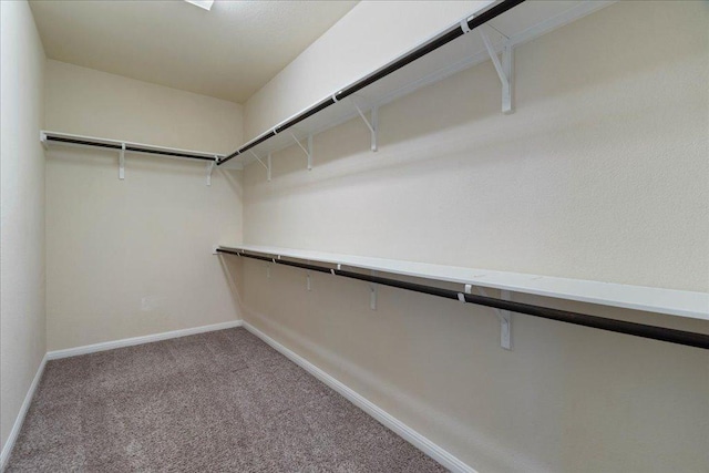 2520 Milan Meadows Dr, Leander, TX 78641 - walk in closet featuring carpet floors
