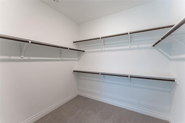152 Limestone Dr, Georgetown, TX 78628 - spacious closet featuring carpet