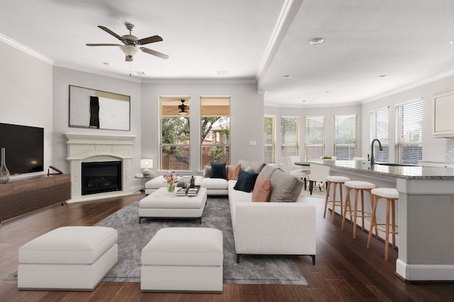 103 County Road 180 Unit 35, Leander, TX 78641 - living area with crown molding, a ceiling fan, dark wood-style floors, and a glass covered fireplace