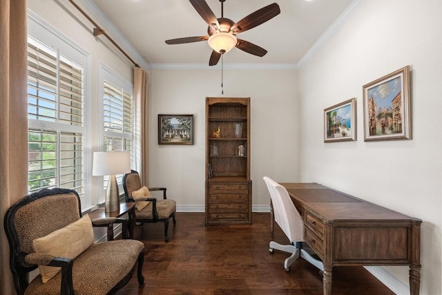 223 Delfino Cir, Austin, TX 78734 - office space with ceiling fan, wood finished floors, and crown molding