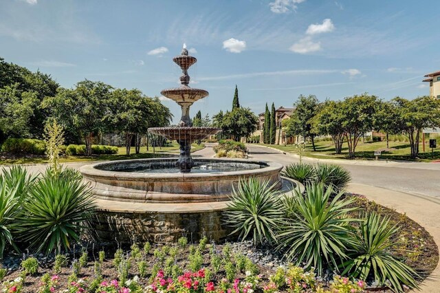 223 Delfino Cir, Austin, TX 78734 - view of community
