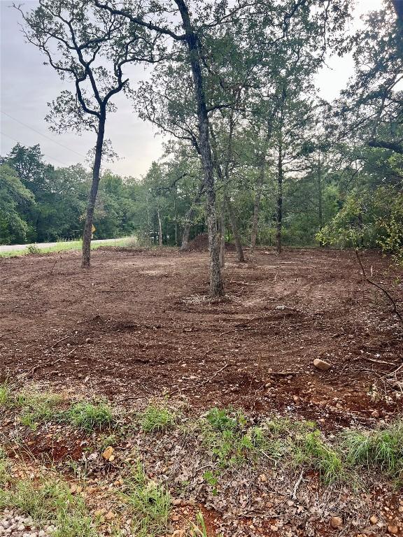 TBD Commanche Dr, Smithville, TX 78957