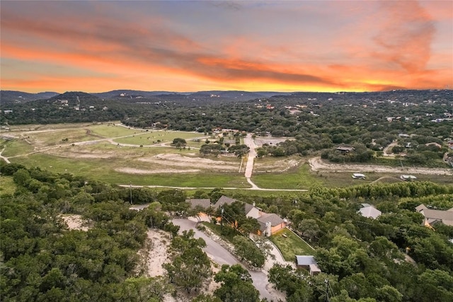 10702 Hill Dr, Leander, TX 78641 - photo 39