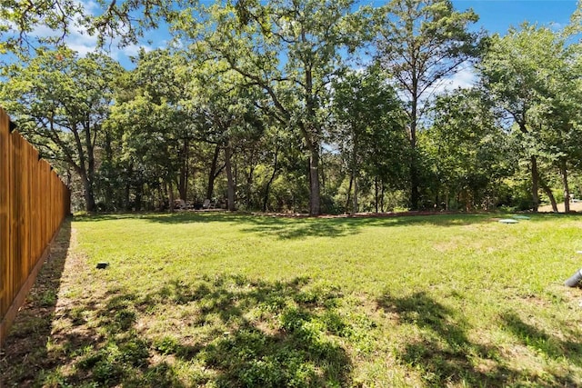 106 Harper Dr, Bastrop, TX 78602 - view of yard