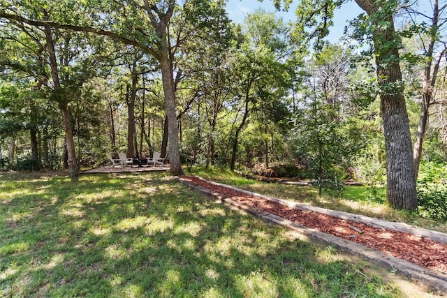 106 Harper Dr, Bastrop, TX 78602 - view of green lawn featuring a patio area
