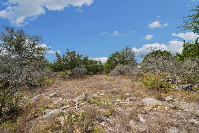 1032 Riesling, New Braunfels, TX 78132