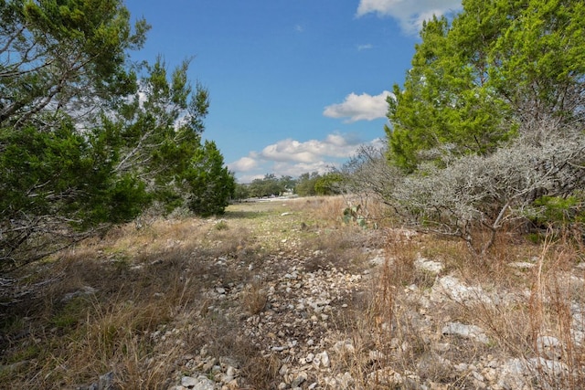 1032 Riesling, New Braunfels, TX 78132