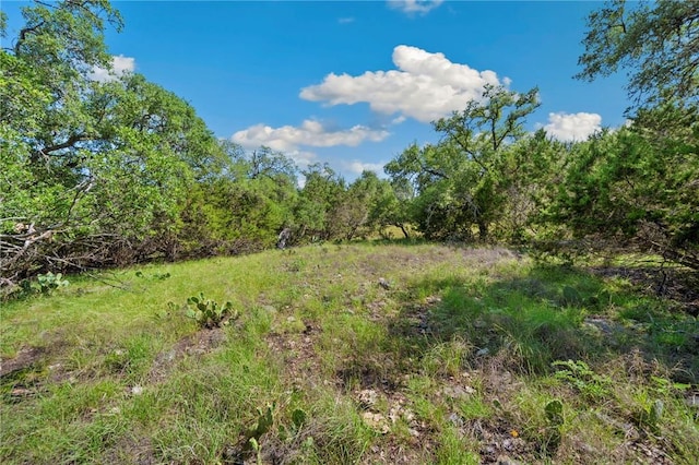 0 Tbd, New Braunfels, TX 78132 - photo 1
