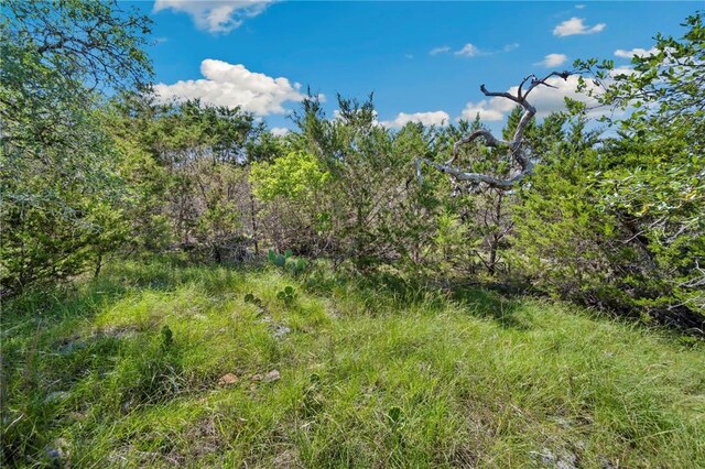 0 Tbd, New Braunfels, TX 78132 - photo 3