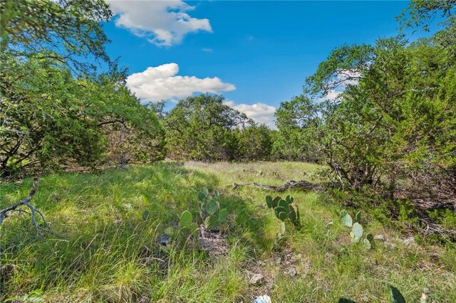 0 Tbd, New Braunfels, TX 78132 - photo 4