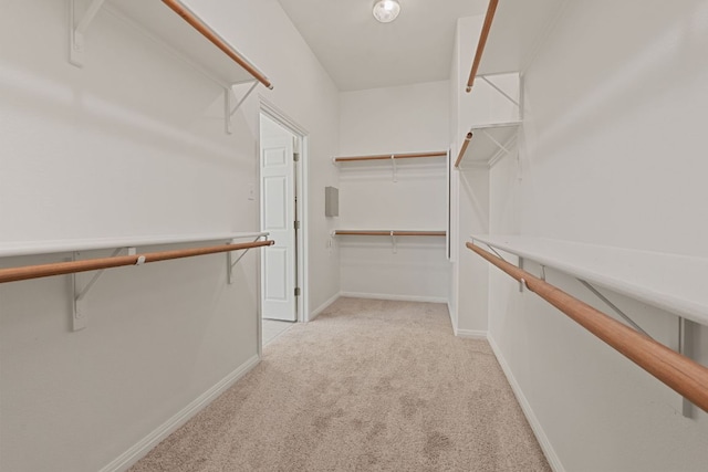 2700 Dagama Ct, Cedar Park, TX 78613 - walk in closet featuring light carpet