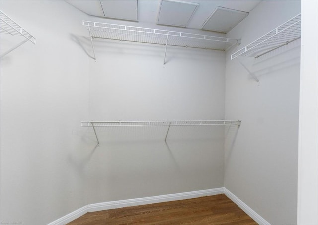 2502 Leon St Unit 305, Austin, TX 78705 - walk in closet with wood finished floors