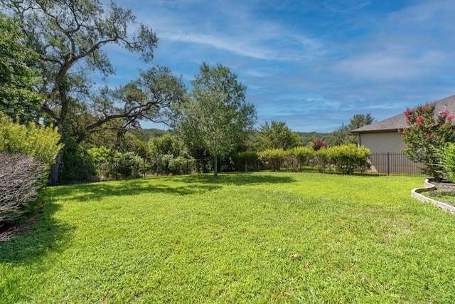 174 Jayne Cv, Austin, TX 78737 - view of yard