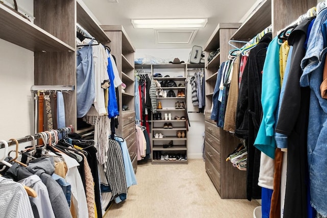 174 Jayne Cv, Austin, TX 78737 - walk in closet with attic access and carpet floors