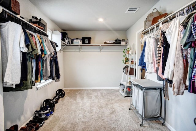 508 Bluffview Dr, Bastrop, TX 78602 - spacious closet with carpet flooring