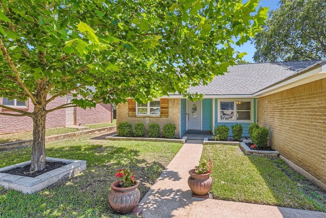 1121 Stoneoak Ln, Austin, TX 78745 - view of front facade with brick siding, roof with shingles, and a front yard