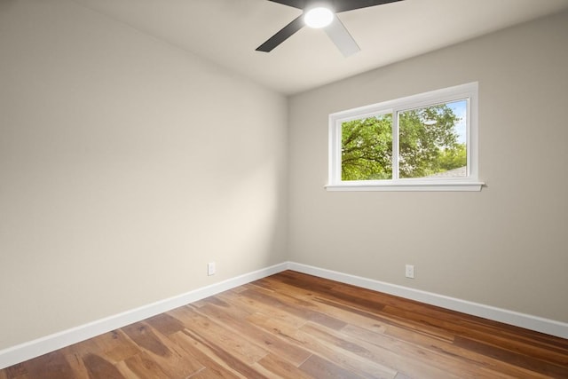 1707 Raven Dr, Austin, TX 78752 - photo 25