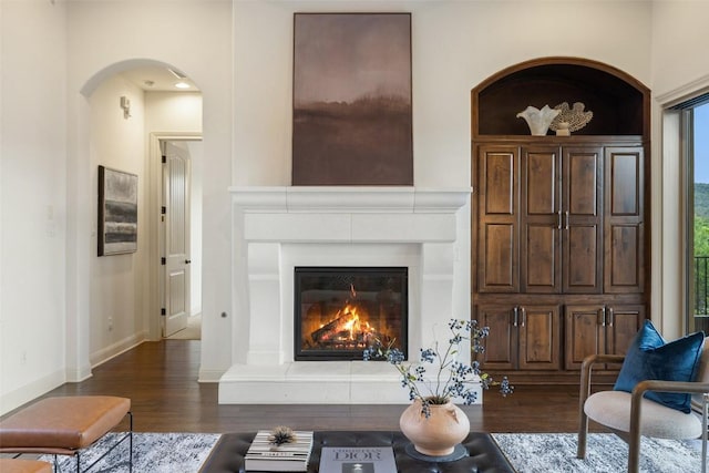 6000 Osceola Trl, Austin, TX 78738 - living area featuring wood finished floors, arched walkways, a glass covered fireplace, and plenty of natural light