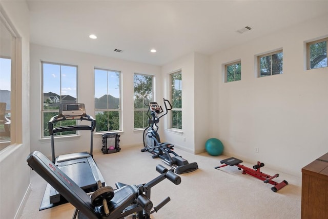 6000 Osceola Trl, Austin, TX 78738 - workout area featuring healthy amount of natural light, carpet flooring, and recessed lighting