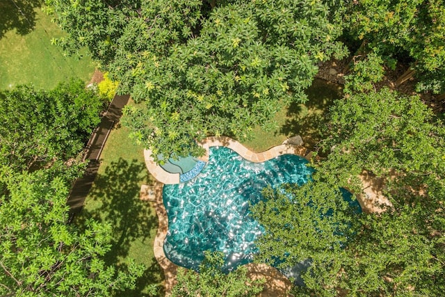13212 Coleto Creek Trl, Austin, TX 78732 - drone / aerial view