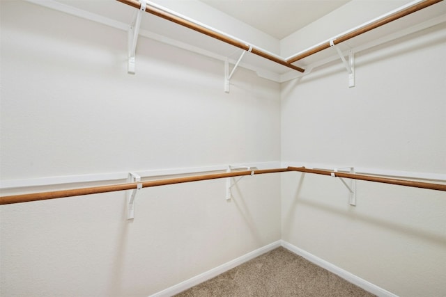 6710 Telluride Trl, Austin, TX 78749 - walk in closet featuring light carpet