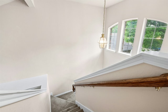 6710 Telluride Trl, Austin, TX 78749 - stairs with carpet and baseboards