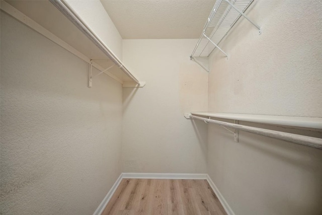 1009 Laurelleaf Dr, Pflugerville, TX 78660 - spacious closet featuring light wood finished floors