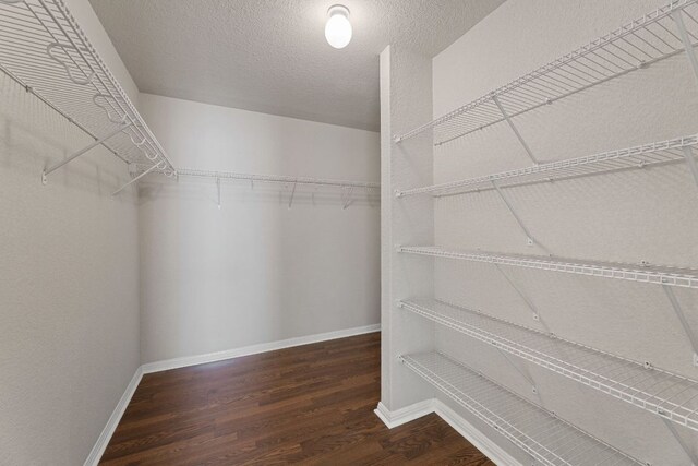410 Brazoria Trl, San Marcos, TX 78666 - photo 16