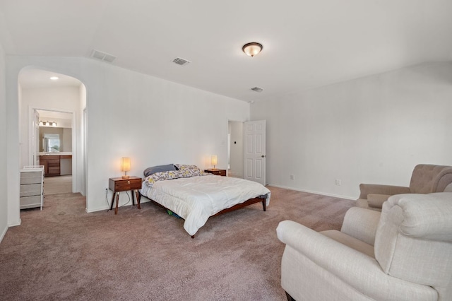 716 Madalin Rue Ct, Leander, TX 78641 - bedroom featuring arched walkways, carpet floors, and lofted ceiling