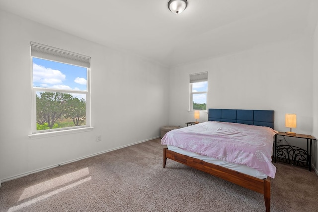 716 Madalin Rue Ct, Leander, TX 78641 - bedroom with carpet floors and baseboards
