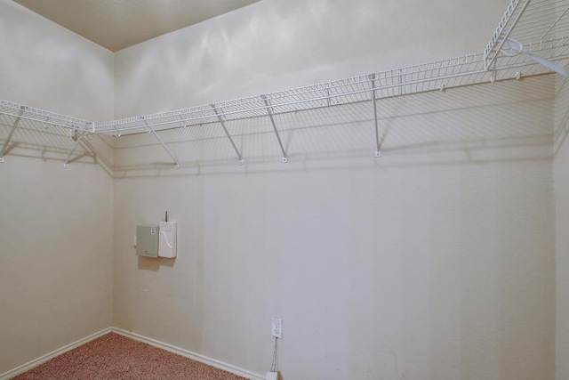 371 Bloomsbury Dr, Kyle, TX 78640 - walk in closet with carpet