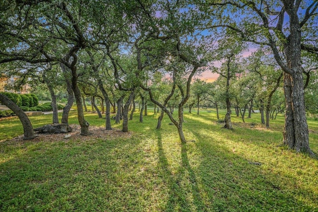 438 Trail Ridge Rd, Wimberley, TX 78676 - photo 4