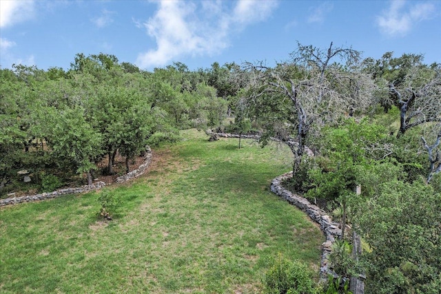 438 Trail Ridge Rd, Wimberley, TX 78676 - photo 24