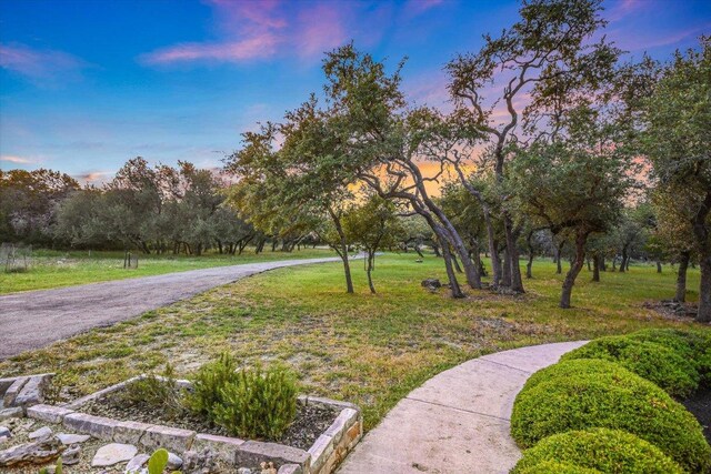 438 Trail Ridge Rd, Wimberley, TX 78676 - photo 25