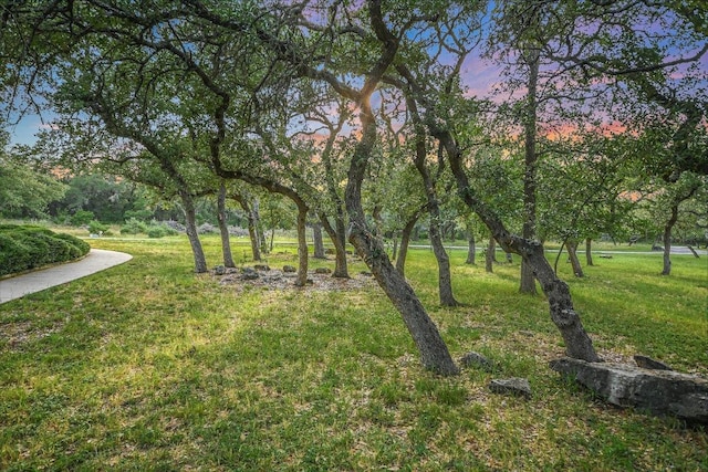 438 Trail Ridge Rd, Wimberley, TX 78676 - photo 26