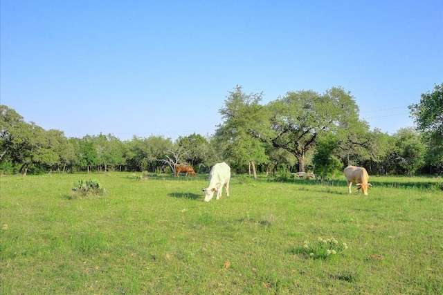 438 Trail Ridge Rd, Wimberley, TX 78676 - photo 30