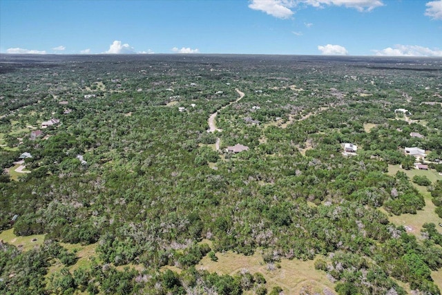 438 Trail Ridge Rd, Wimberley, TX 78676 - photo 31