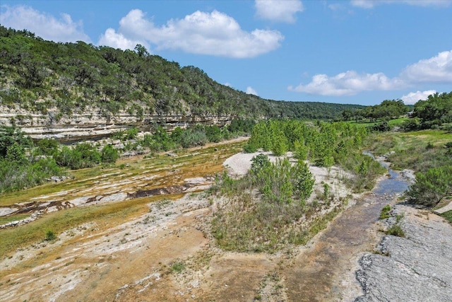438 Trail Ridge Rd, Wimberley, TX 78676 - photo 37