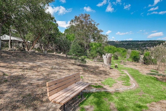 438 Trail Ridge Rd, Wimberley, TX 78676 - photo 40