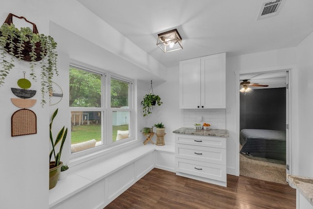 409 White Wing Way, Round Rock, TX 78664 - kitchen featuring white cabinets, decorative backsplash, dark wood-style flooring, light stone countertops, and ceiling fan